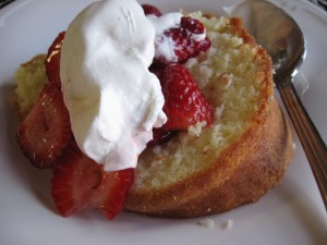 IMG_0517 IMG_0517