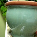 Thumbnail image for Thrifty Treasures
