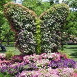 Thumbnail image for National Public Gardens Day