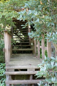 Picture 011