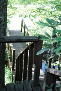 Picture 047