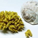 Thumbnail image for Weekly Treasures
