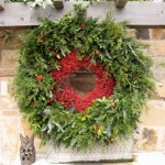 Thumbnail image for Christmas in Mountain Brook