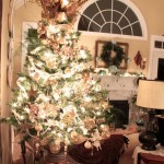 Thumbnail image for O Christmas Tree!