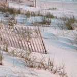 Thumbnail image for Visiting Beautiful Port St. Joe