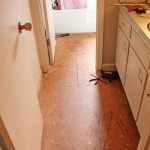 Thumbnail image for Why NOT to Put Carpet in a Bathroom?