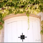 Thumbnail image for Sonoma CA Wine Country