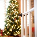 Thumbnail image for Feature Friday: Christmas with Alamode