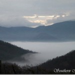 Thumbnail image for Waynesville Countryside: Cute Goat Alert