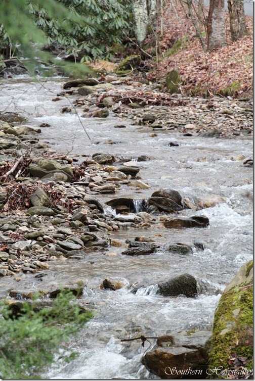 pretty mountain stream