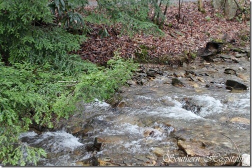 stream