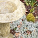 Thumbnail image for Spring Birdbath and Chimes