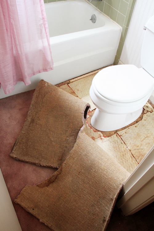 Why You Shouldn't Put Carpet in the Bathroom