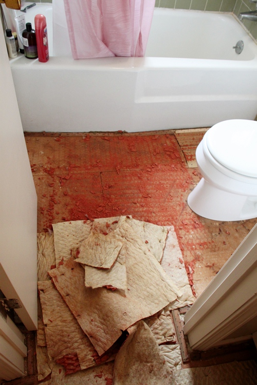 Why You Shouldn't Put Carpet in the Bathroom