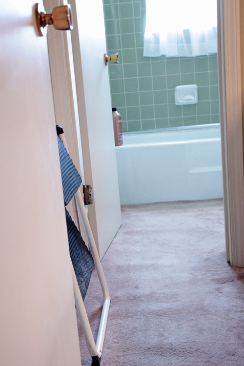 Carpets in the Bathroom: How to Make It Work