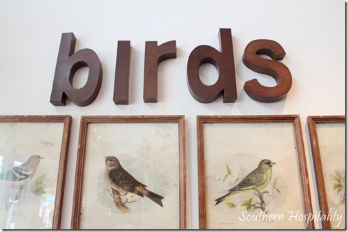 bird prints