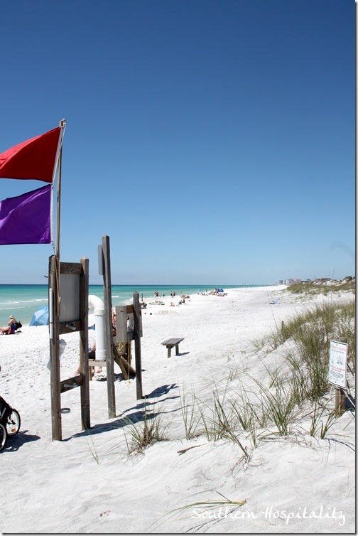 flags on beach