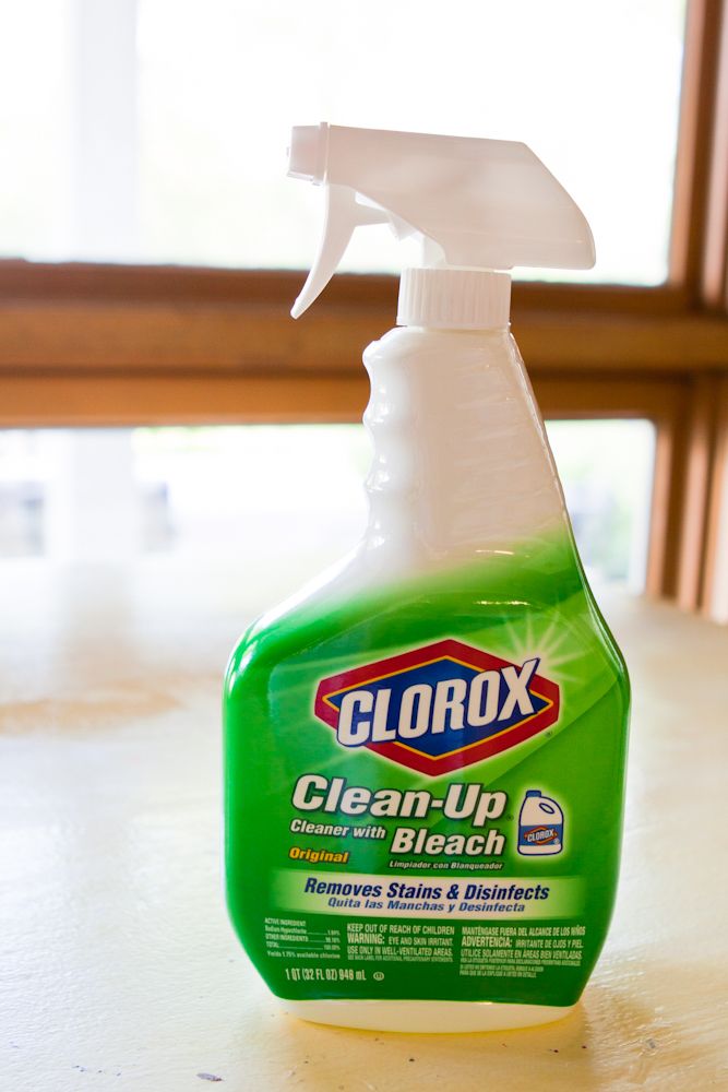 Bottle of Clorox Clean-Up Cleaner