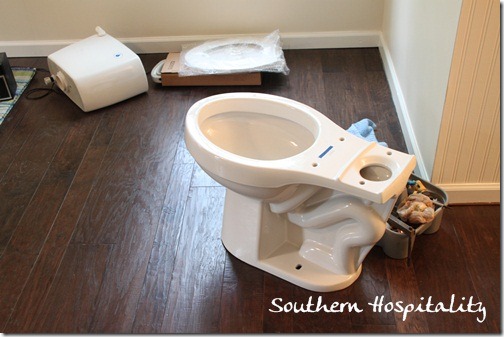 Lowes Aquasource toilet