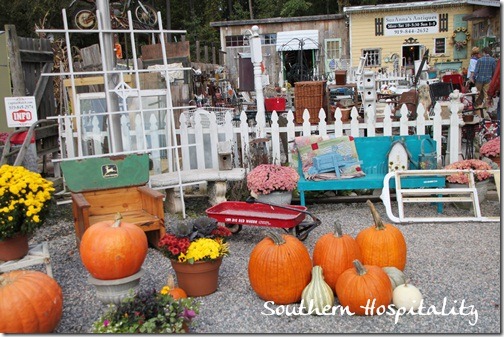 pumpkins at Suzannas