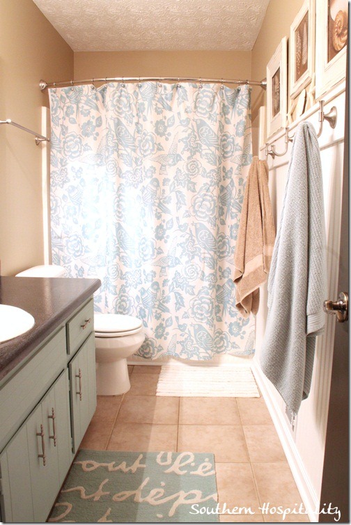 Guest bath shower curtain