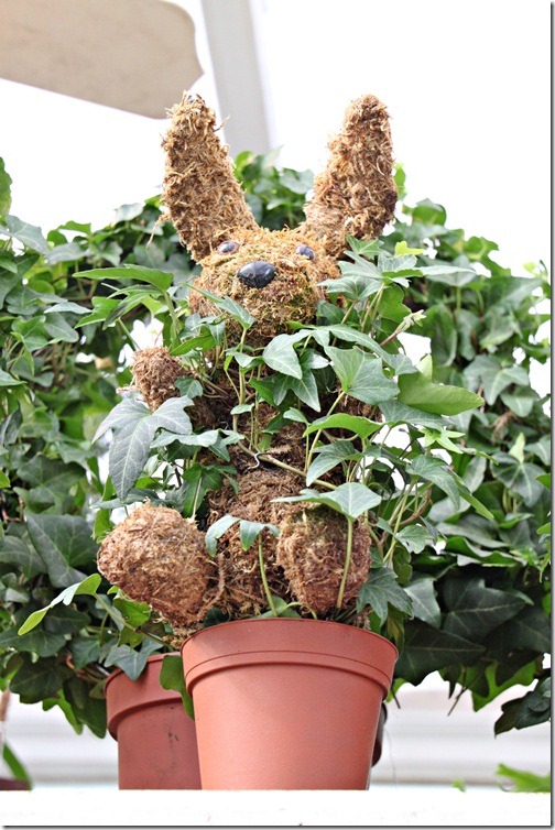 bunny pot