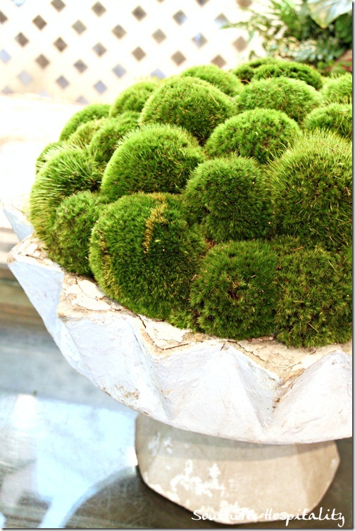 moss in white urn