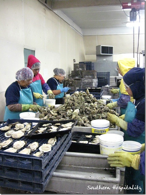 Oyster factory