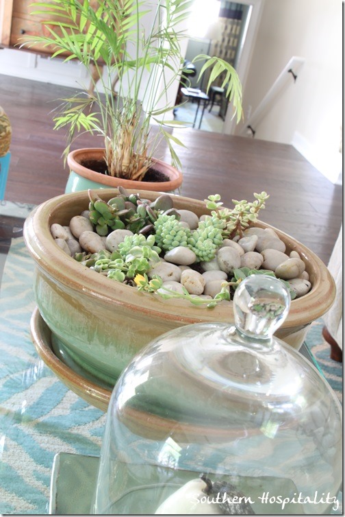 tabletop garden