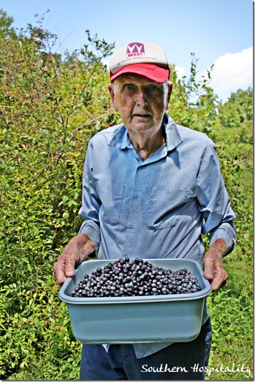 dad and the blueberries