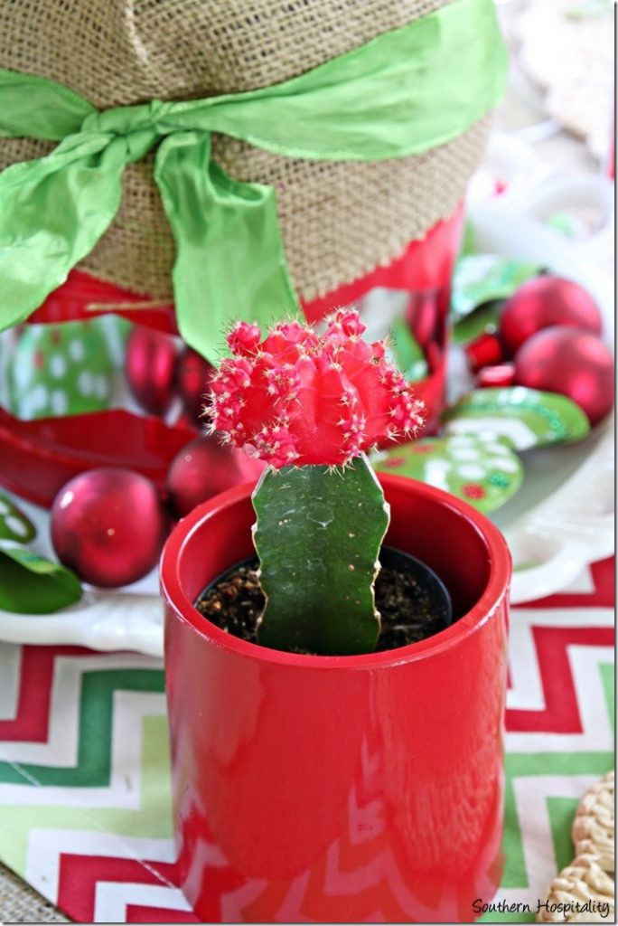 red cactus holder