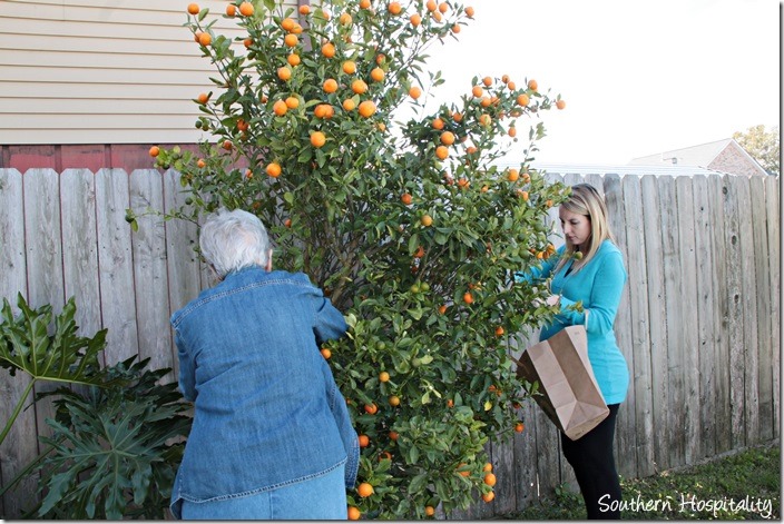 mom and lauren picking