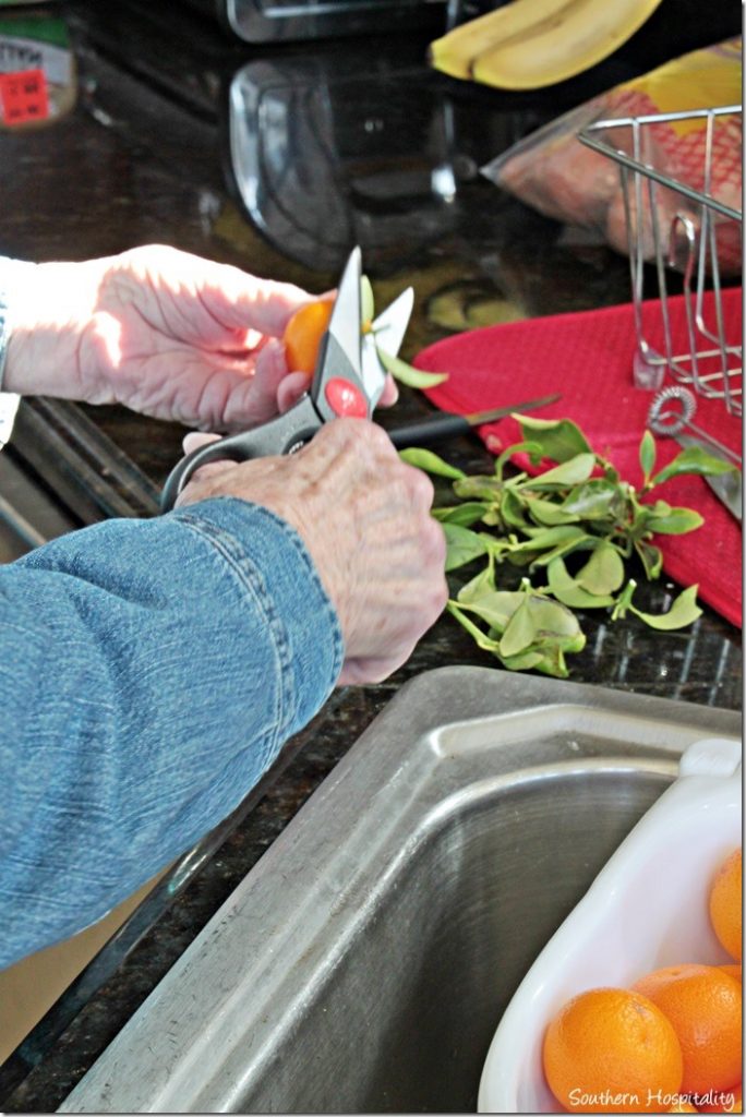 mom cutting stems