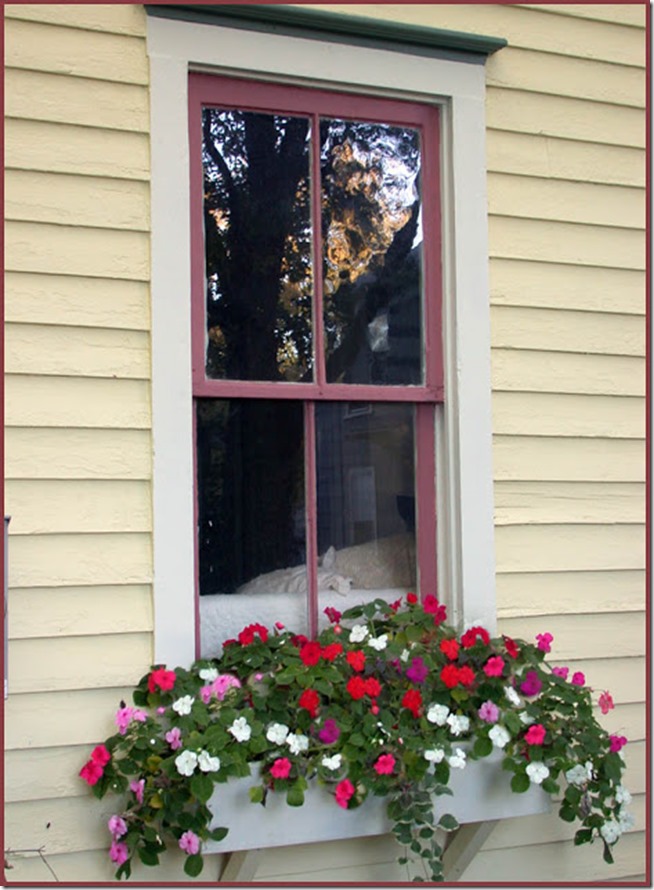 Window-Box