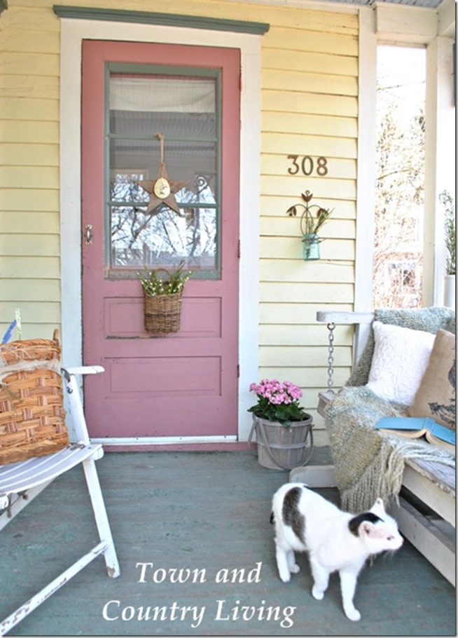 front door and cat