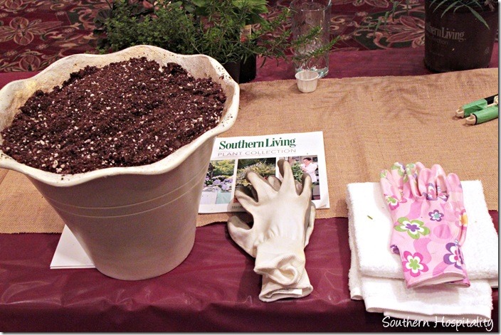 pot ready for planting