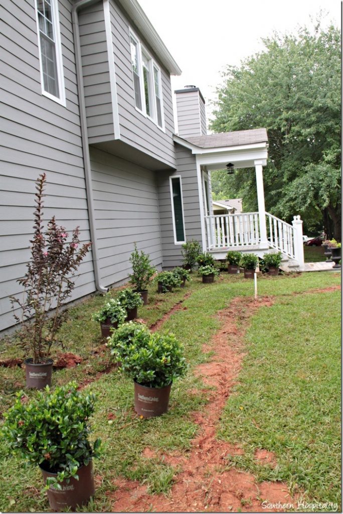 front bed plants