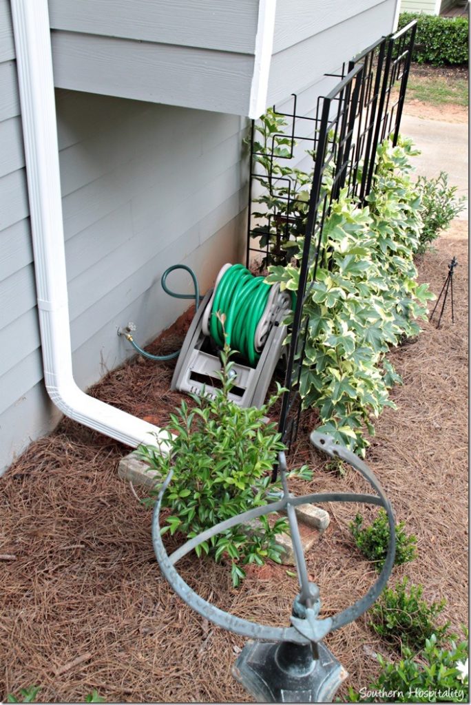 hose reel behind trellis