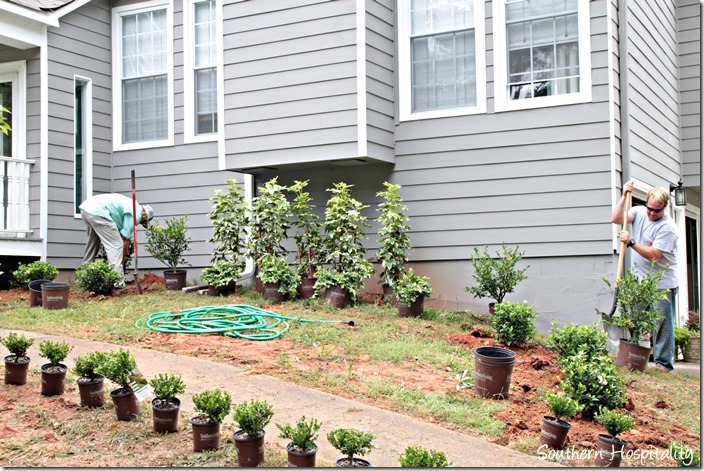 plants front bed going in