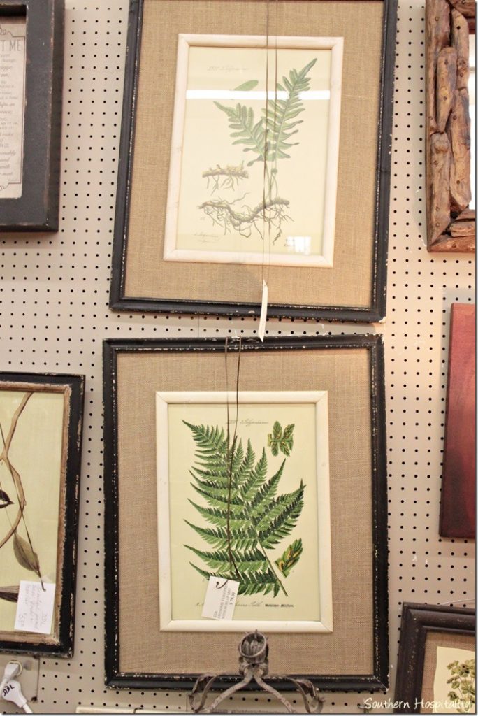 botanical prints