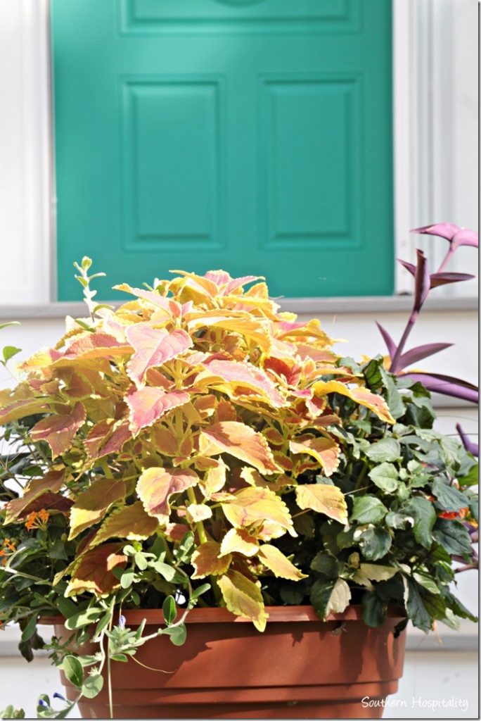 fall front door