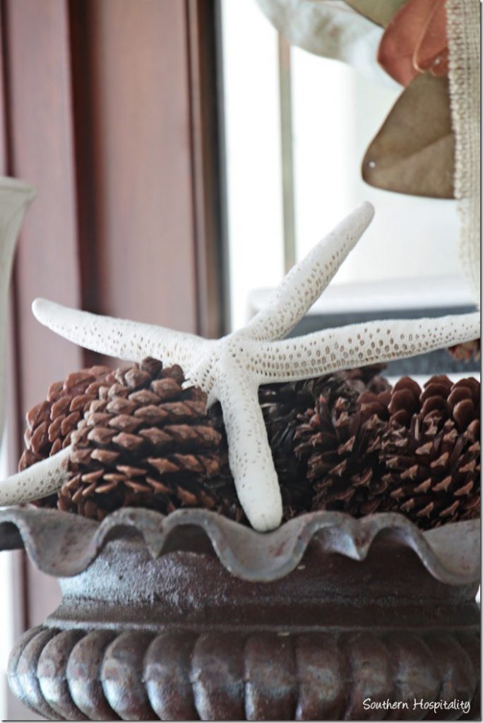 starfish and pinecones