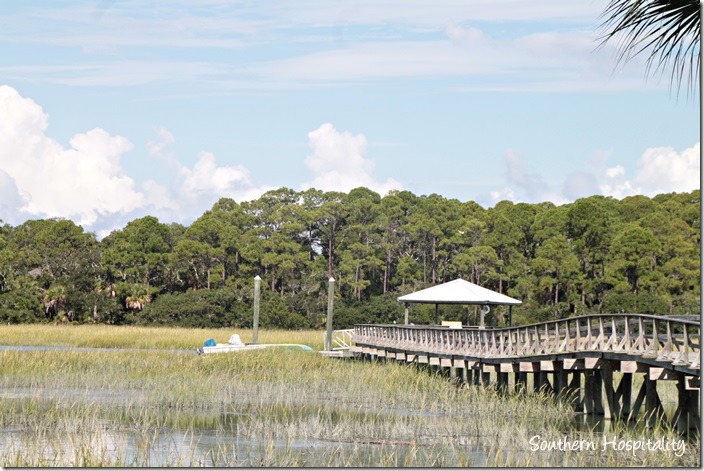 tybee marsh