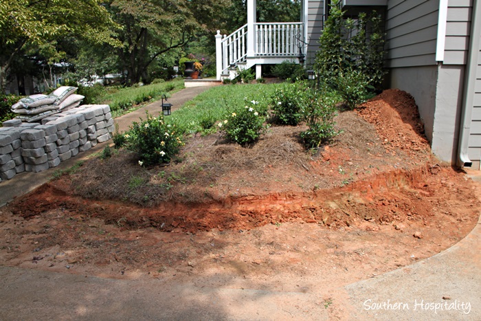 bank dug out