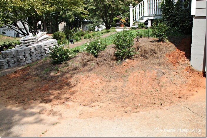 bank of dirt before (2)