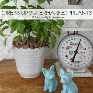 Dress-Up-Supermarket-Plants