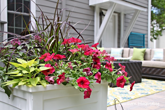 planters with flowers