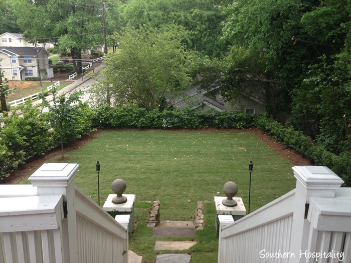 backyard before with grass