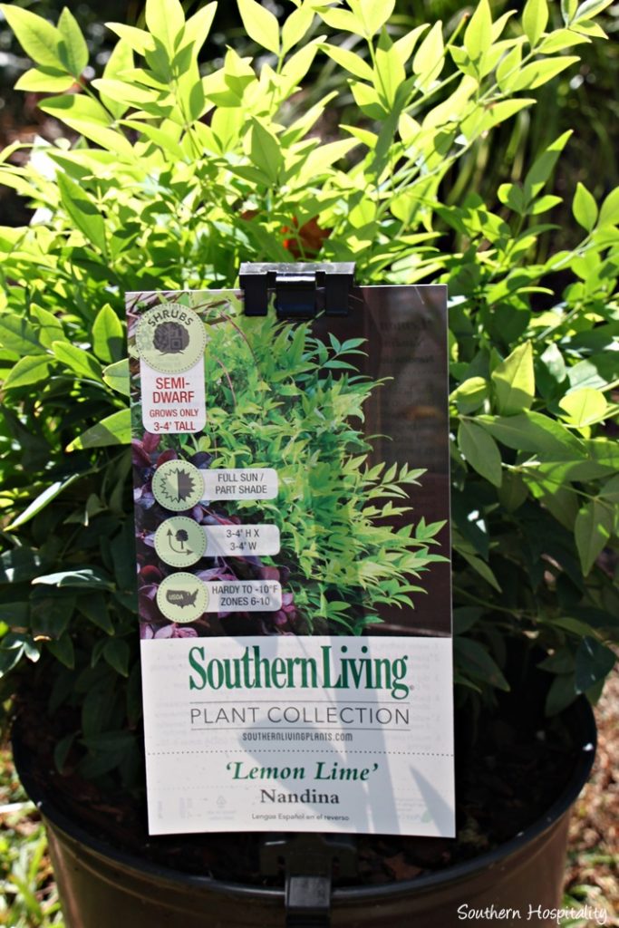 southern living plants20151017_006