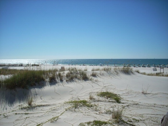 gulf shores al010